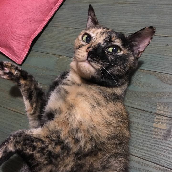 B2115318 0e5c 432f 8358 aff5093a555b