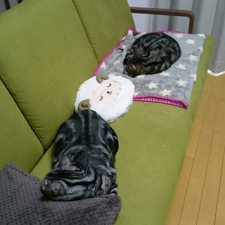 B2116c40 4129 451e 87bc 12c380cc34e0