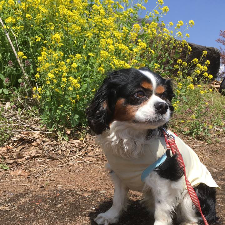 B211d5ae 9a65 4dc9 9011 942aa3802b3f