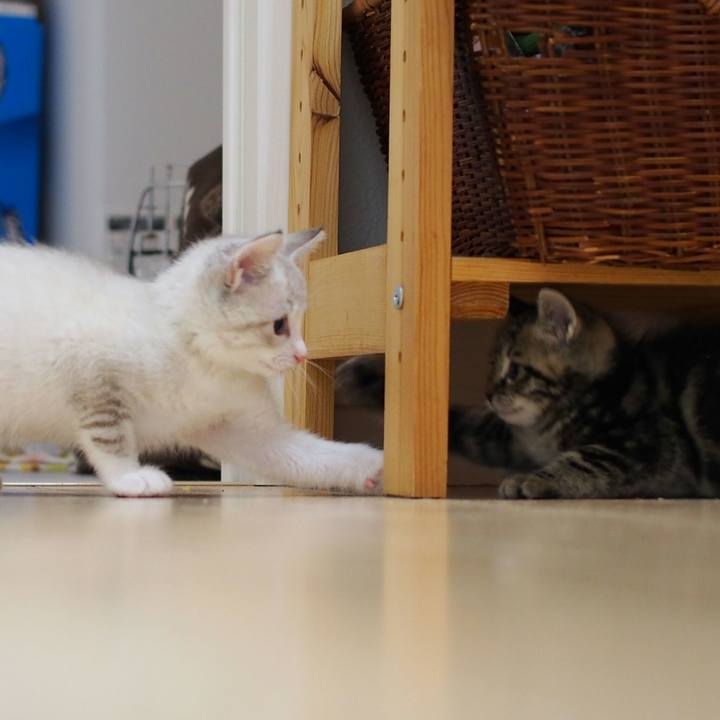 B211ef70 125b 423f b9d5 d9aa776cdf68