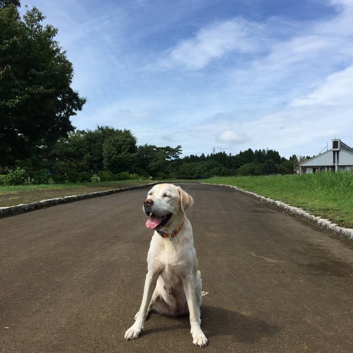 B212b969 1eea 4744 8790 5e7924f62abe