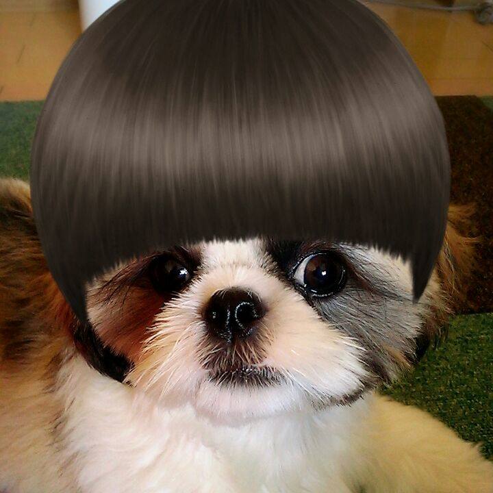 B212bc07 3fa5 4adf 99a4 3c0478ef330a