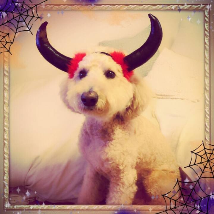 B213474f 4285 46d2 aa66 a942b5f7ab9c