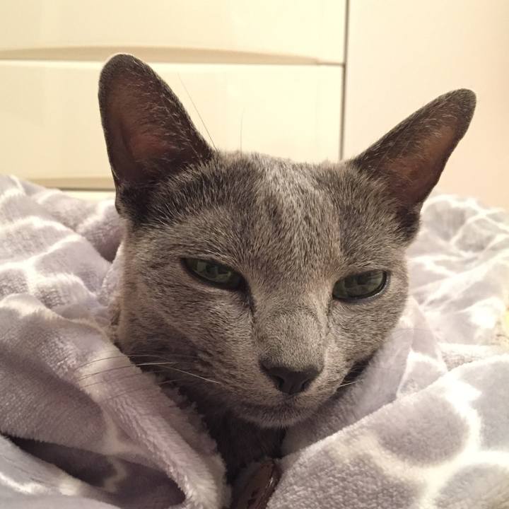 B2138599 6d1a 4422 8c19 bdd894787813