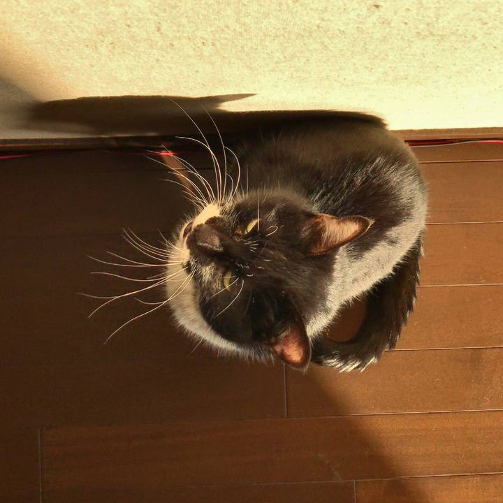 B213e363 c71d 44ba b588 96363667ce9c