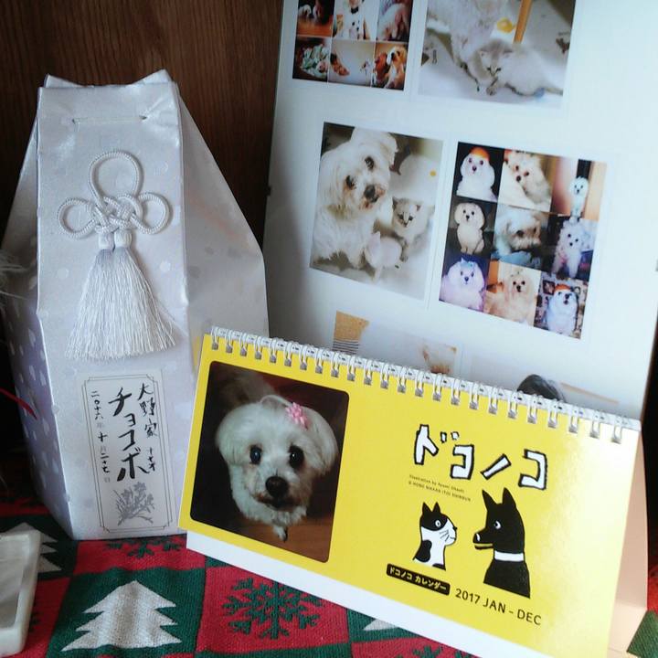 B213f532 2488 48c7 ae86 39ec4f76b3d4