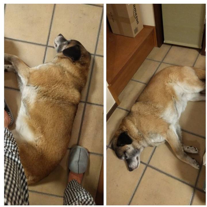 B21463e0 2b98 484b ad3a 99943aedecaf