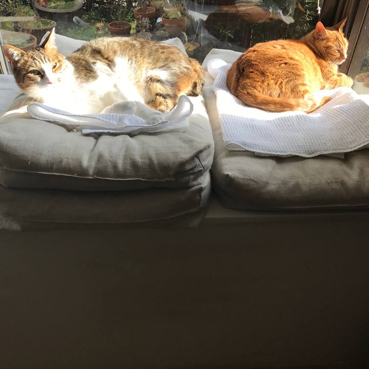 B21467f8 144b 4a45 86aa 2bd21fc3f1ef