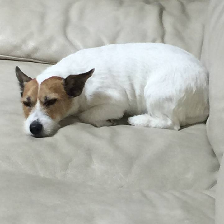 B214bb43 f2d3 47b1 b7e9 706cc53365d4