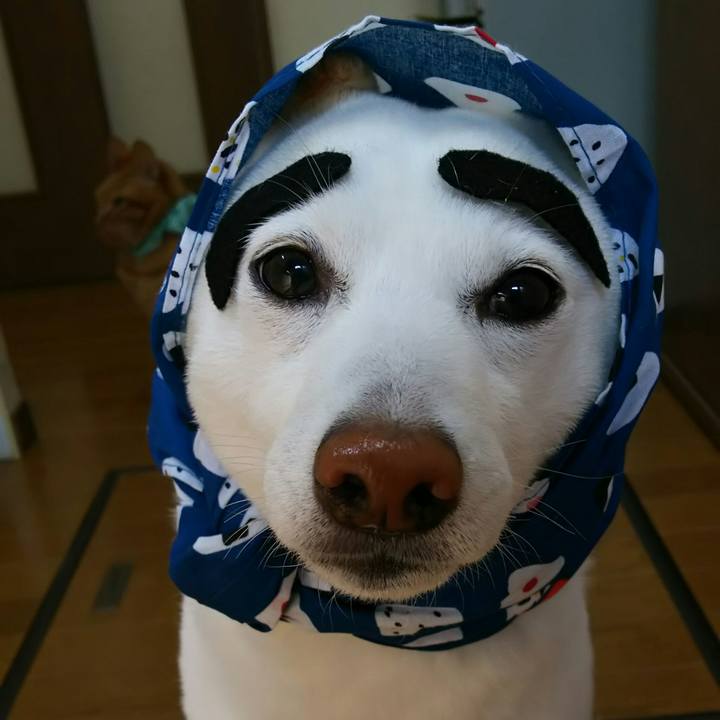 B214c4f7 3e25 4649 96bc d0e080082f2f