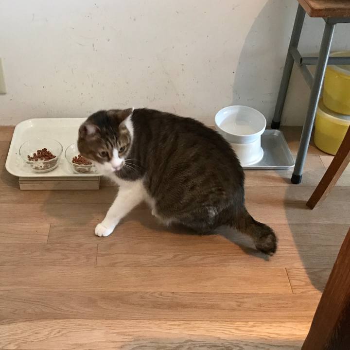 B214e2a8 9241 439c ab54 094a97795ad7