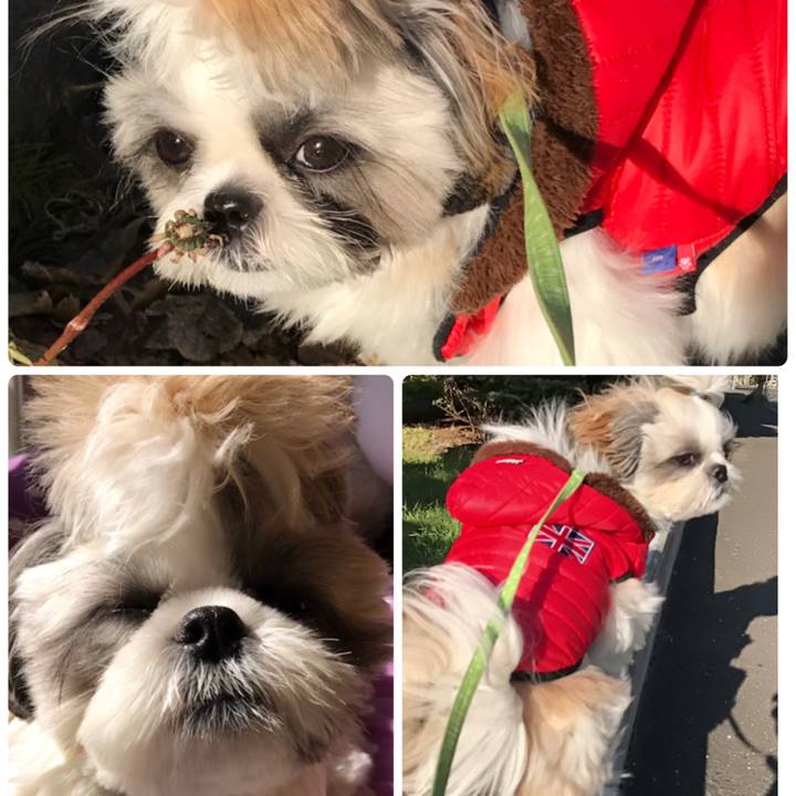 B2157437 1738 4579 a7d7 2940389f8941