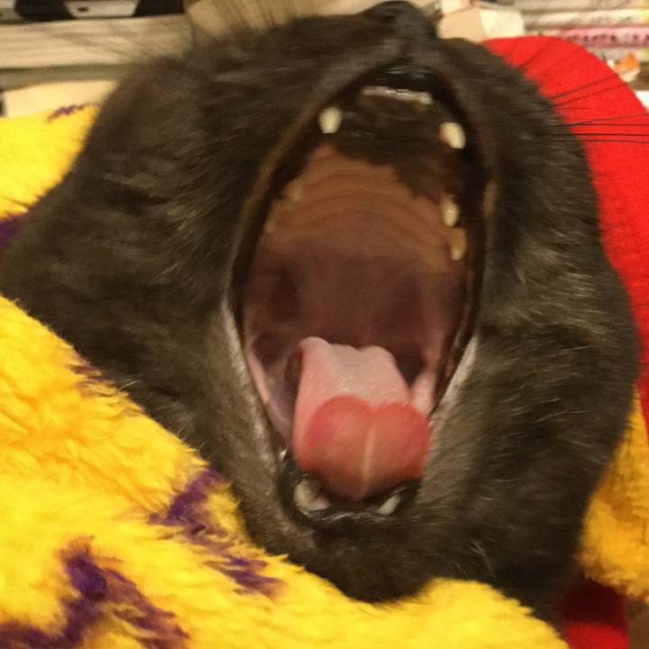 B2163d60 7d1e 4646 a798 60817409c4c4