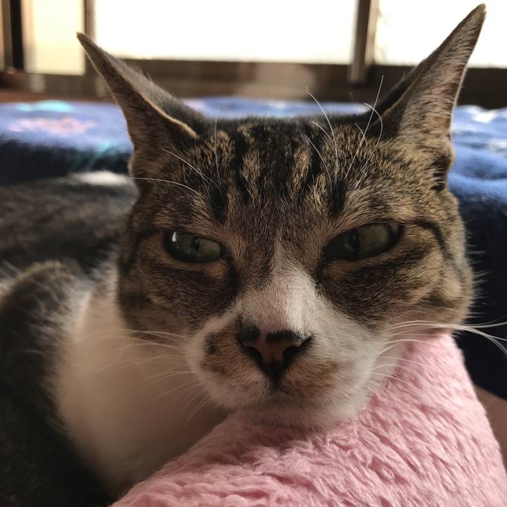 B216dd5d ddfa 428c 9fdf 2b60668d49f2