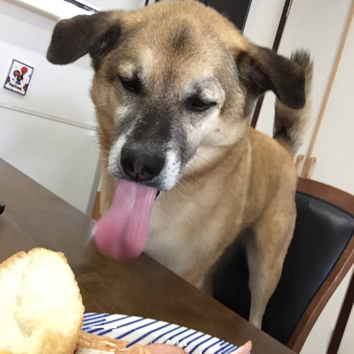 B21744ae d9d8 4333 b55c 94eb717bf21d