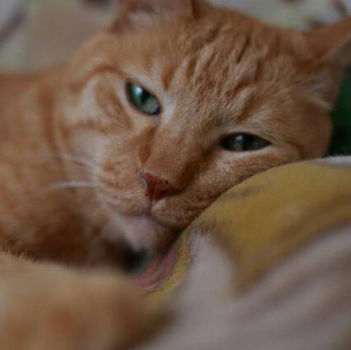 B2175185 0b94 4568 9563 723375c9f6ca