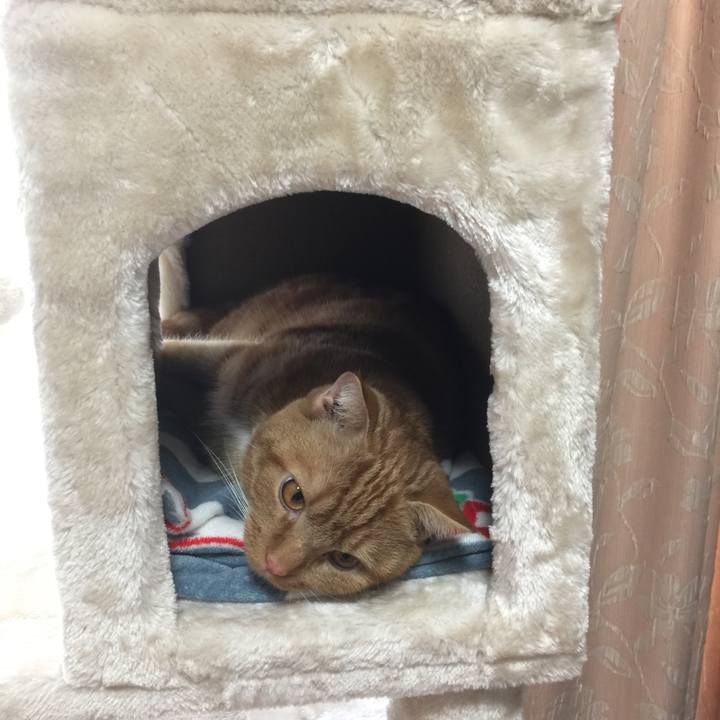 B217a9aa e1f8 4d57 8378 fa2842c26bcf