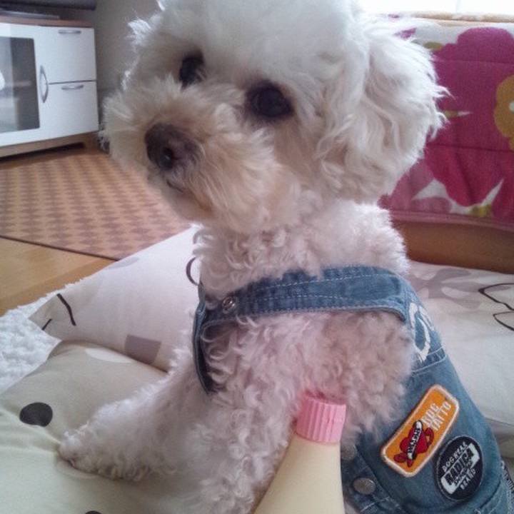 B218f2b9 6d39 44e9 923c bf367ce3d3a0