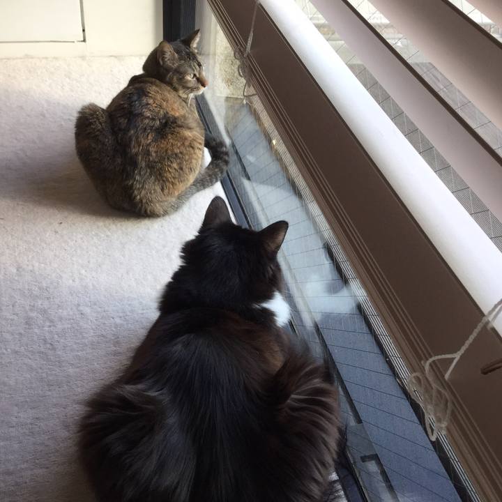 B219f1a1 e370 43a2 b487 807e01f65a8a