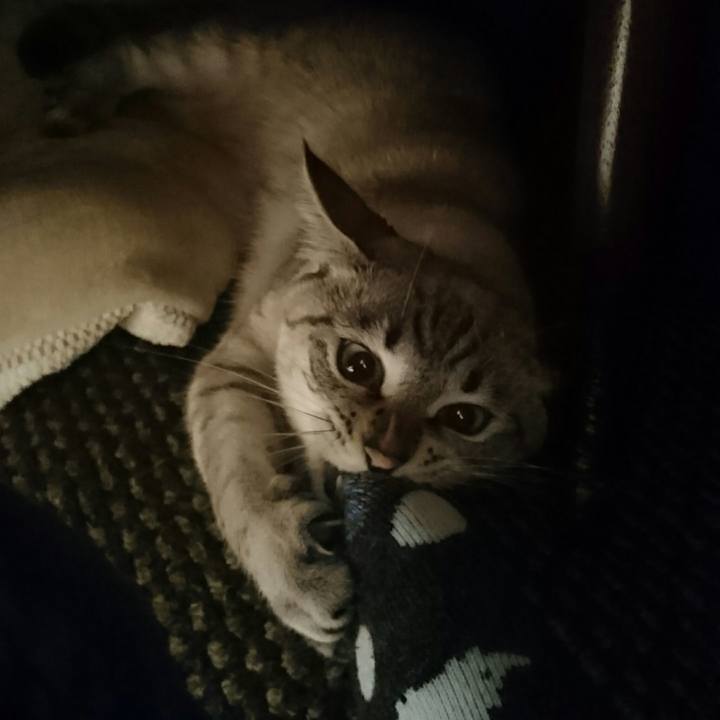 B21a80fd d136 406c 8954 8c1d2f5a5ebb