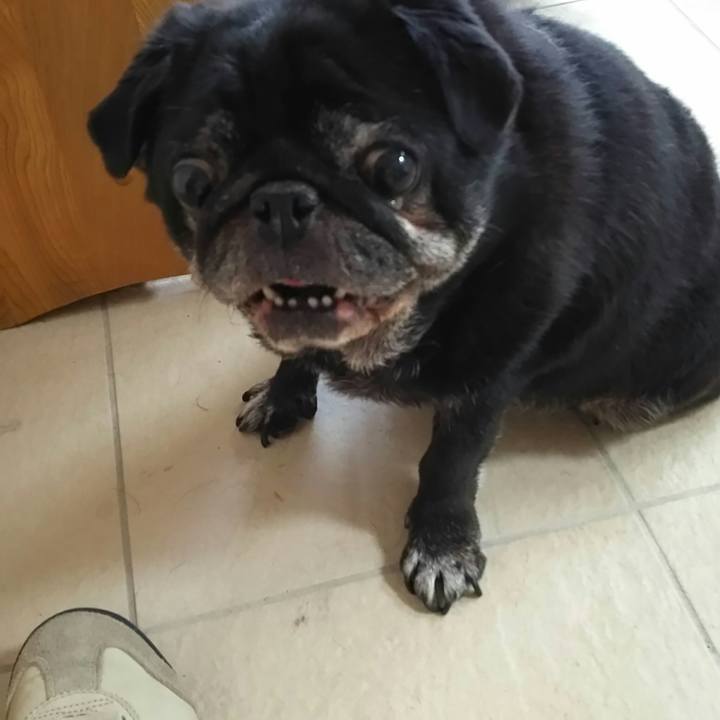 B21b6330 b334 46ae 9921 09a6f74db4ef