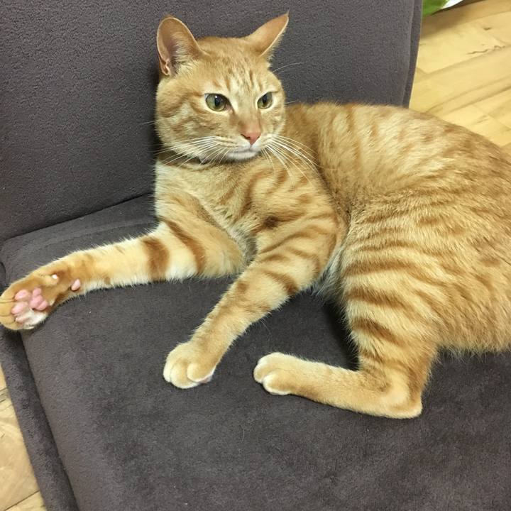 B21b8b82 c210 407a 9f6a 6117e78a7a90