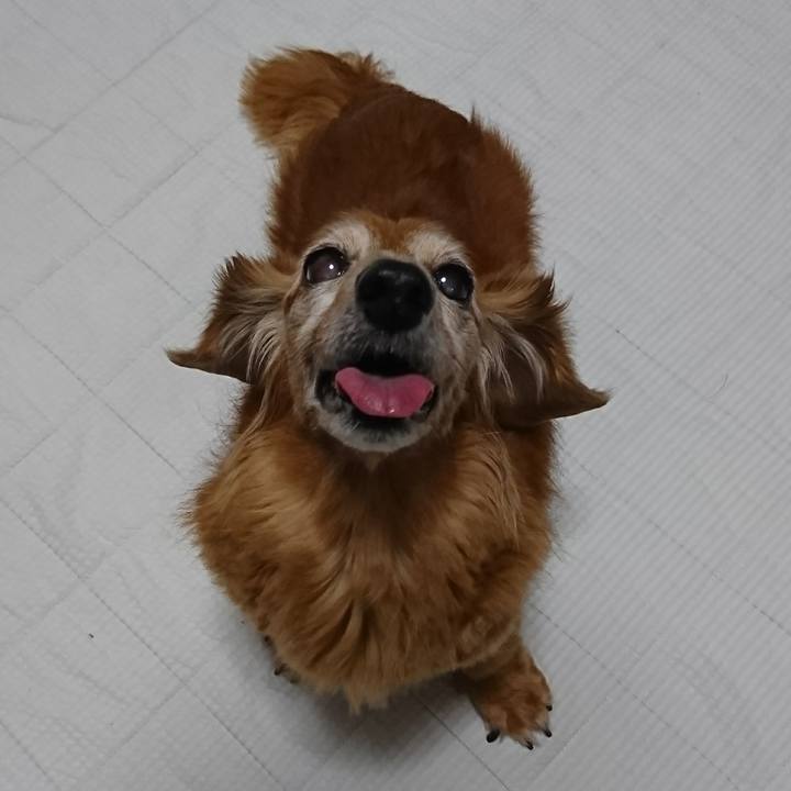 B21b9779 6f5b 4847 b934 0ed771b07e20