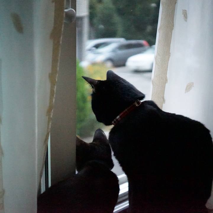 B21c049c 9ce5 4b60 8feb 0abd7ba37bbe