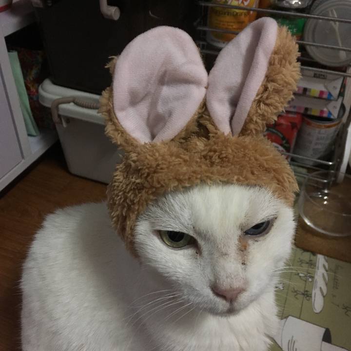 B21c8bfd 3645 462c 98a1 faa6859bfe31