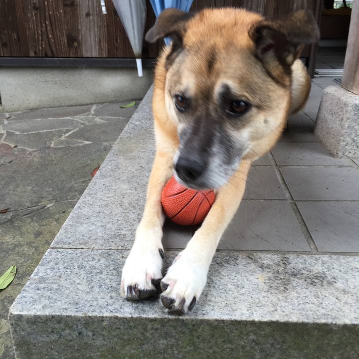 B21d522b f848 41c6 b887 332a26475853