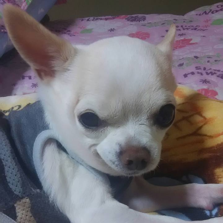 B21dca2e 70bf 4d5e 8f75 ffab4fc02e40