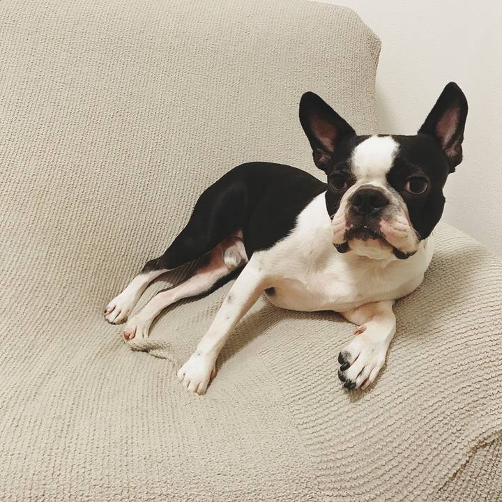 B21dcf50 fb80 415e bb9f 5bb65a8b4045