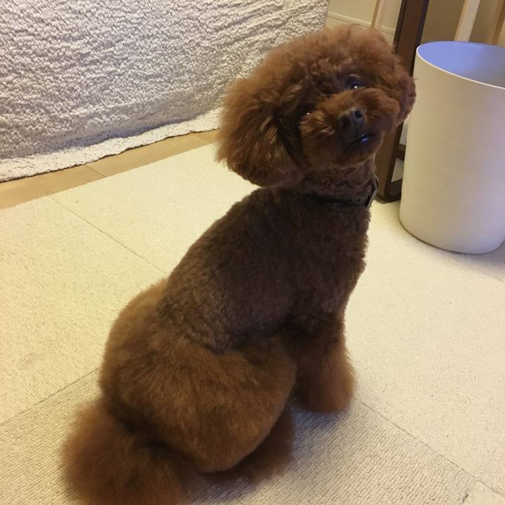 B21e735f d012 4242 a9d6 854ac3d96185