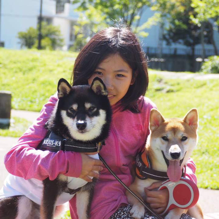 B21ee11f df54 4b86 b3f5 4fc5088d48b5