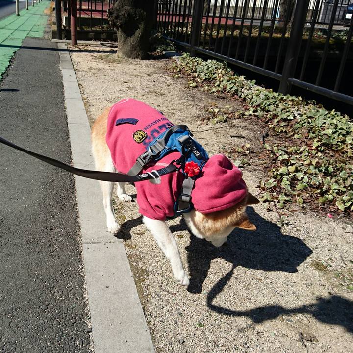 B21f9f5d a262 4090 8ef5 9a889a157a77