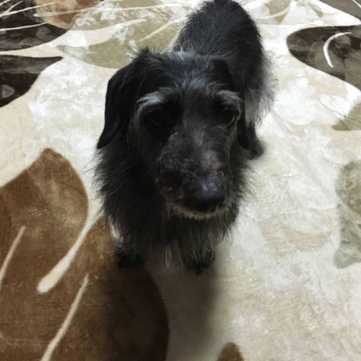 B22082e4 825c 447f baeb fe379d8299ba