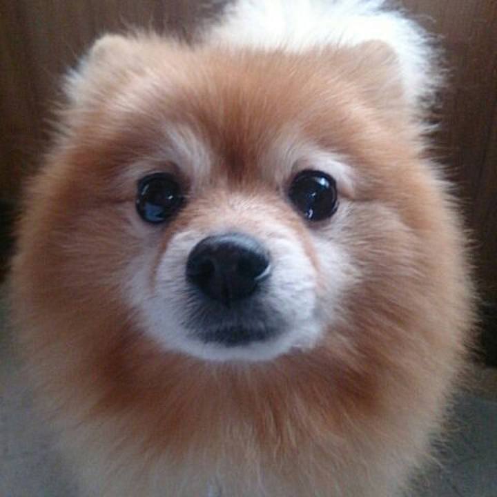 B22117e5 f249 4721 9871 f62ee0e47810