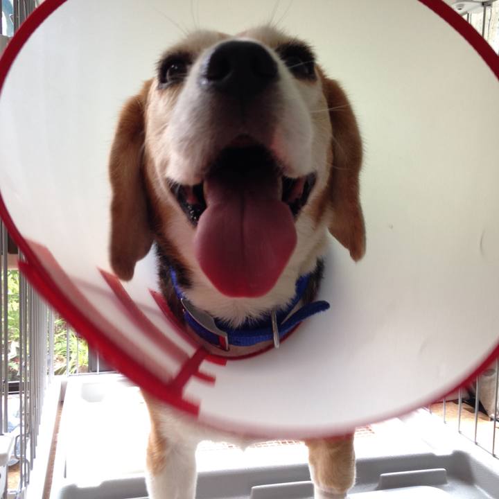 B22169ba 684c 4bc6 8a17 9013d2e90b56