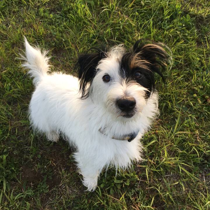 B221bdf5 dfa0 4494 b34c 436cdf67e68b