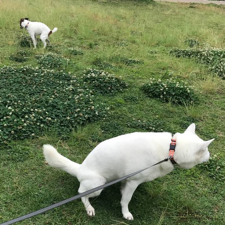 B22218fa 9a19 4c5c b99f 72807e7d6c8d