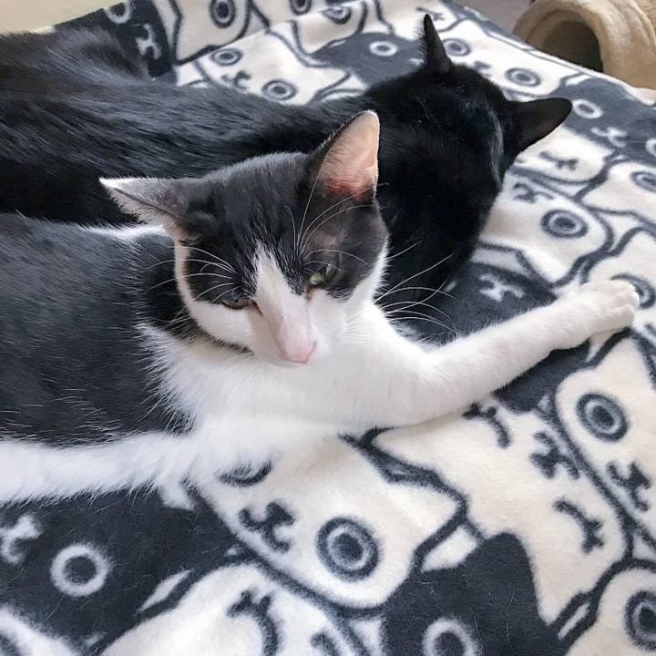 B22256a1 bced 4555 a532 53d4e0574931