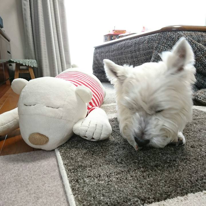 B222e01b 32a3 4ce1 9d82 176858dc25ad