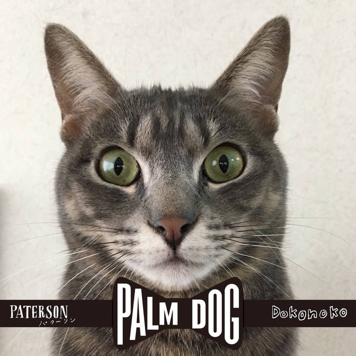 B222e5fe 9622 43ee af0e 5312c640d097