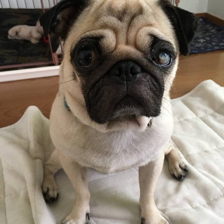 B2232ad7 2dff 4dd1 ad55 88c69e21c05e