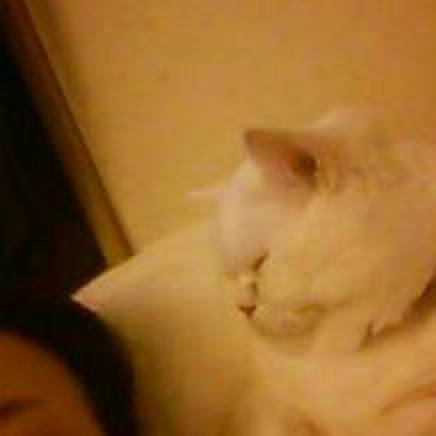 B22400fe cf60 441e b68a 2294c91282c4