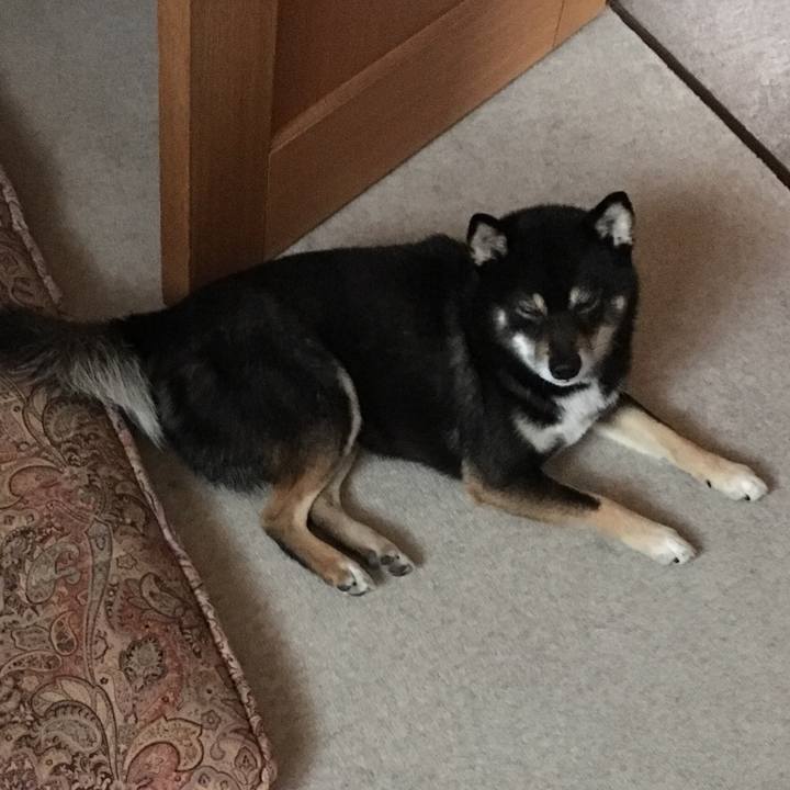 B224621d 66a6 47f5 bb67 493a8dde5662