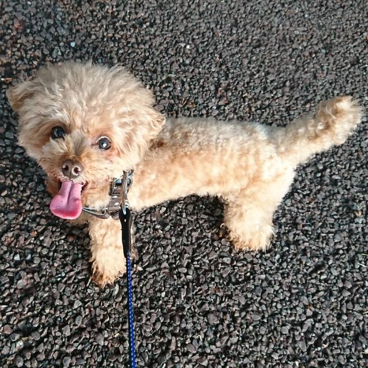 B224670b 7090 478c 949e d1dc57a372ec