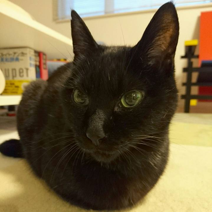 B2279b9a 8313 4e07 b095 d33b5a692867