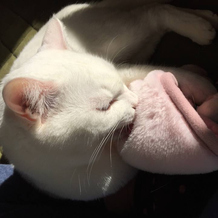 B227a01b f087 44a5 b045 d3c27ccf8322