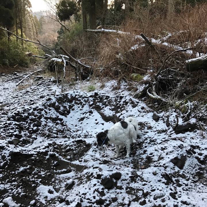 B227b9a0 4e60 44ce 8f23 201051043758